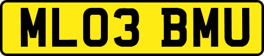 ML03BMU