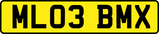 ML03BMX