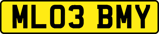 ML03BMY