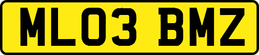 ML03BMZ
