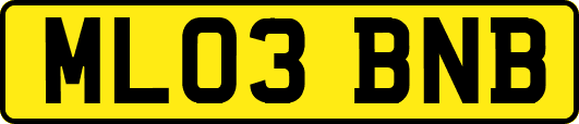 ML03BNB