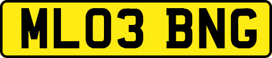 ML03BNG