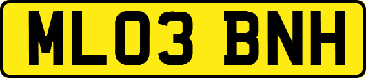 ML03BNH