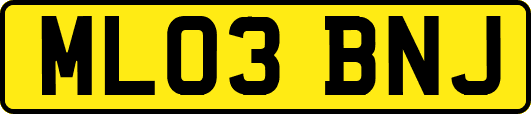 ML03BNJ