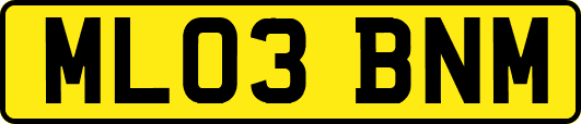 ML03BNM