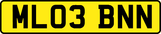 ML03BNN