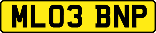 ML03BNP