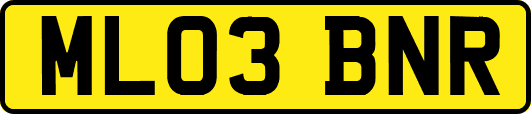 ML03BNR