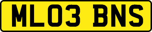 ML03BNS