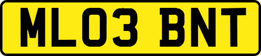 ML03BNT