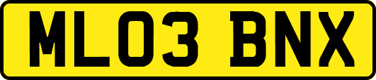 ML03BNX