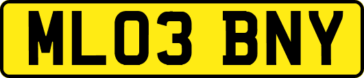 ML03BNY