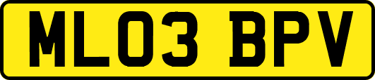 ML03BPV