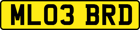 ML03BRD
