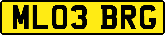 ML03BRG