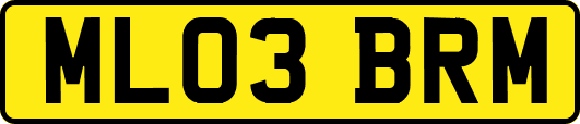 ML03BRM