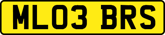ML03BRS