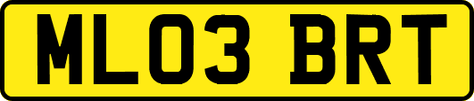 ML03BRT