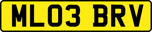 ML03BRV