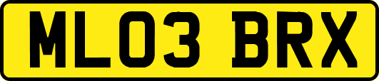 ML03BRX