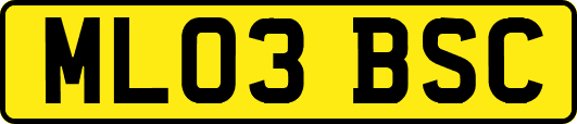 ML03BSC