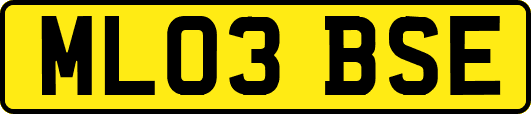 ML03BSE