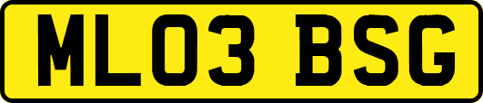 ML03BSG