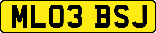 ML03BSJ