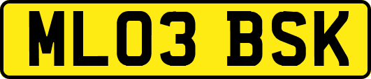 ML03BSK