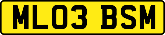 ML03BSM