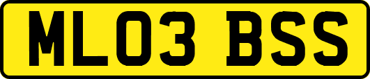 ML03BSS