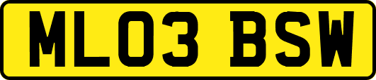 ML03BSW