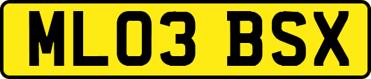 ML03BSX