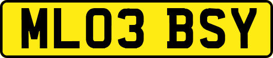ML03BSY