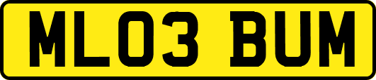 ML03BUM