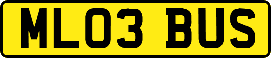 ML03BUS