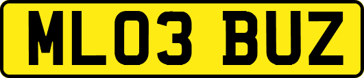 ML03BUZ