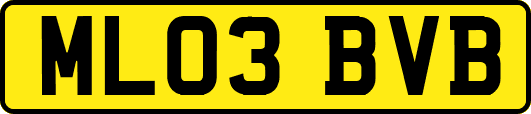 ML03BVB