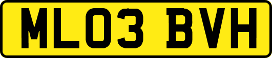 ML03BVH