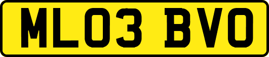 ML03BVO