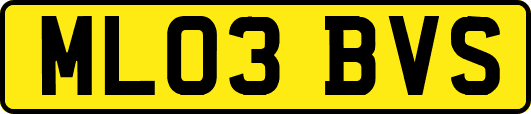 ML03BVS