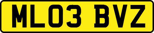ML03BVZ