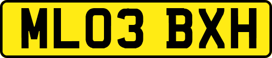 ML03BXH