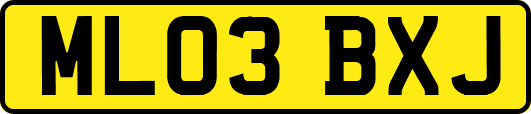 ML03BXJ