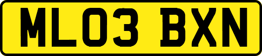 ML03BXN