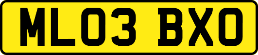 ML03BXO