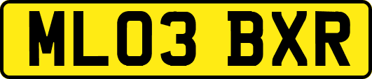 ML03BXR