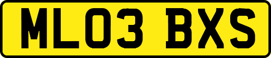 ML03BXS