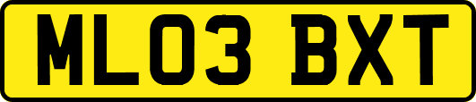 ML03BXT