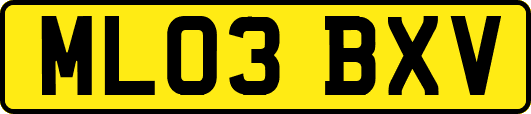 ML03BXV